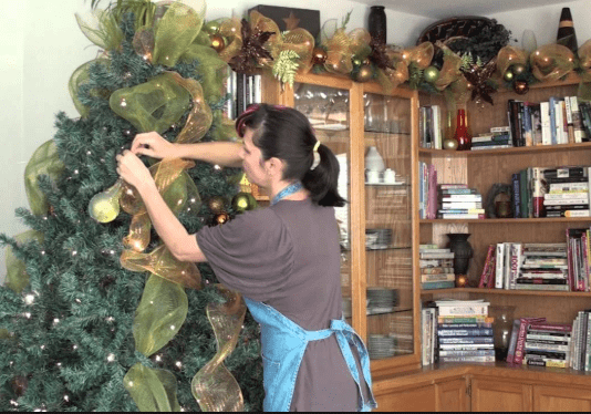 क्रिसमस ट्री के बारे में क्या आप इन रोचक बातों को जानते हैं – अभी जाने