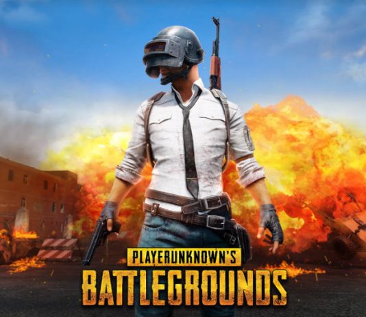 11 साल के बच्चे ने हाई कोर्ट में दायर की याचिका, PUBG गेम को बैन करवाने के लिए