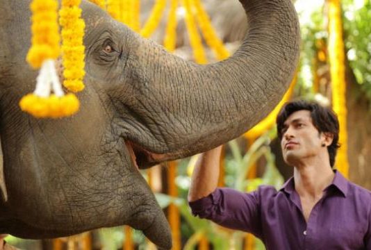 जंगली मूवी का पूरा रिव्यू पढ़े यहाँ : शानदार है फिल्म