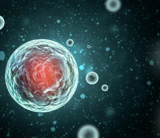 Mysterious ‘Dinga Dinga’ Outbreak in Uganda: Uncontrollable Shaking and Fever Grip Bundibugyo Dinga Dinga