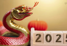 Chinese New Year 2025: Complete Guide to Animal of the Year, Dates, and Global Traditions Chinese New Year 2025