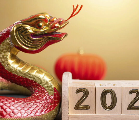 Chinese New Year 2025: Complete Guide to Animal of the Year, Dates, and Global Traditions Chinese New Year 2025