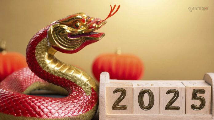 Chinese New Year 2025